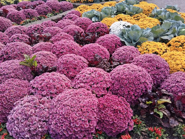 Installateur domotique à chartres : solutions sur-mesure pour vous !